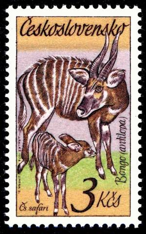 Colnect-4012-230-Bongo-Tragelaphus-eurycerus.jpg