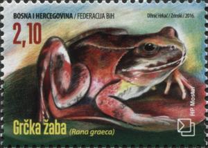 Colnect-5091-029-Greek-Stream-Frog-Rana-graeca.jpg