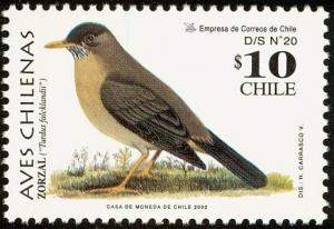 Colnect-6028-313-Austral-Trush-Turdus-falcklandii.jpg