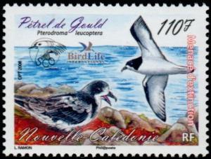 Colnect-858-886-Gould--s-Petrel-Pterodroma-leucoptera.jpg