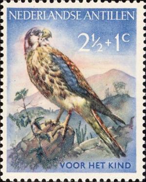 Colnect-944-859-American-Kestrel-nbsp-Falco-sparverius.jpg