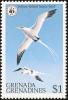 Colnect-2193-323-White-tailed-Tropicbird-Phaethon-lepturus.jpg