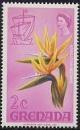 Colnect-1369-666-Strelitzia-reginae.jpg