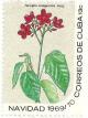 Colnect-1726-383-Jatropha-integerrima.jpg