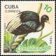 Colnect-1989-014-Pale-winged-Trumpeter-Psophia-leucoptera.jpg