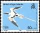 Colnect-2650-322-White-tailed-Tropicbird-Phaethon-lepturus.jpg