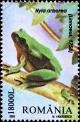 Colnect-5189-156-Common-Tree-Frog-Hyla-arborea.jpg