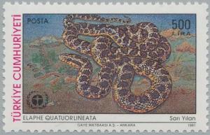 Colnect-2673-869-Four-lined-Ratsnake-Elaphe-quatuorlineata.jpg