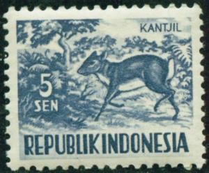 Colnect-518-756-Malayan-Kantschil-Tragulus-javanicus.jpg