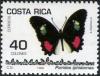 Colnect-2374-716-Iphidamas-Cattleheart-Parides-iphidamas.jpg