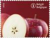 Colnect-2728-465-Forgotten-fruit-Star-Apple.jpg