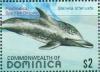 Colnect-3281-486-Pantropical-Spotted-Dolphin-Stenella-attenuata.jpg