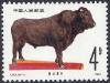 Colnect-3708-523-Quinchuan-Cattle-Bos-primigenius-indicus.jpg