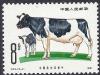 Colnect-3708-526-Black-and-white-spotted-Cattle-Bos-primigenius-taurus.jpg