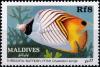 Colnect-4172-544-Threadfin-Butterflyfish-Chaetodon-auriga.jpg