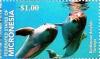 Colnect-5812-442-Bottlenosed-dolphins.jpg