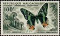 Colnect-1232-134-Madagascan-Sunset-Butterfly-Chrysiridia-madagascariensis.jpg