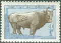 Colnect-3156-290-Mongolian-Cattle-Bos-primigenius-taurus.jpg