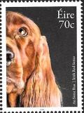 Colnect-3441-179-Irish-Red-Setter-Canis-lupus-familiaris.jpg