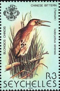 Colnect-1721-635-Yellow-Bittern-Ixobrychus-sinensis.jpg