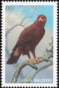 Colnect-1631-920-Lesser-Spotted-Eagle-Clanga-pomarina.jpg