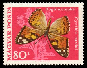 1968_Moth_Butterfly_80.jpg