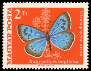 1971_Moth_Butterfly_200.jpg