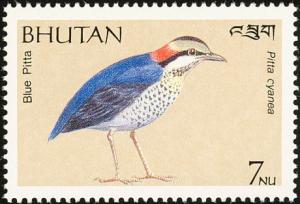 Colnect-1720-386-Blue-Pitta-Pitta-cyanea-nbsp-.jpg