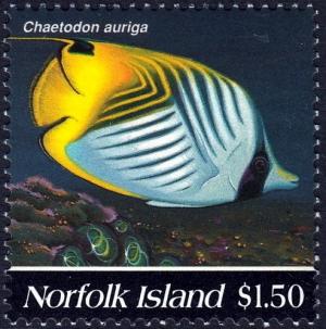 Colnect-2364-226-Threadfin-Butterflyfish-Chaetodon-auriga.jpg