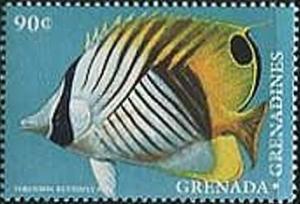 Colnect-2420-104-Threadfin-Butterflyfish-Chaetodon-auriga.jpg