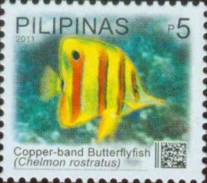 Colnect-2914-129-Copperband-Butterflyfish-Chelmon-rostratus.jpg