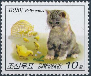 Colnect-3266-372-Kitten-with-chickens.jpg