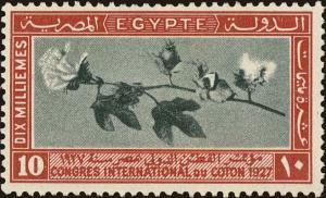 Colnect-4348-354-International-Cotton-Congress---Branch-of-Cotton.jpg