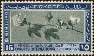 Colnect-4348-355-International-Cotton-Congress---Branch-of-Cotton.jpg