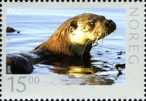 Colnect-859-092-Sea-otter-Enhydra-lutris.jpg