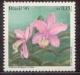 Colnect-1053-765-Cattleya-loddigesii.jpg