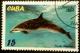 Colnect-1378-849-Pantropical-Spotted-Dolphin-Stenella-attenuata.jpg