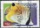 Colnect-2339-540-Threadfin-Butterflyfish-Chaetodon-auriga.jpg