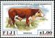 Colnect-3146-942-Hereford-Cattle-Bos-primigenius-taurus.jpg