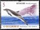 Colnect-3539-674-Pantropical-Spotted-Dolphin-Stenella-attenuata.jpg