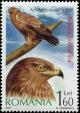 Colnect-5184-079-Lesser-Spotted-Eagle-Aquila-pomarina.jpg