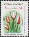 Colnect-1985-671-Tulipa-clusiana.jpg