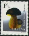 Colnect-348-528-Boletus-Boletus-aerens.jpg