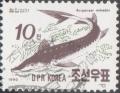 Colnect-1907-950-Sakhalin-Sturgeon-Acipenser-mikadoi.jpg