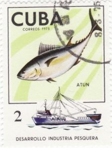 Colnect-1084-675-Tuna-Thunnus-sp.jpg