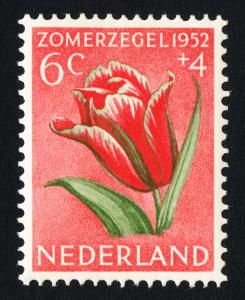 Colnect-2192-523-Garden-Tulip-Tulipa-gesneriana.jpg