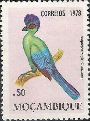 Colnect-1115-767-Purple-crested-Turaco-Tauraco-porphyreolophus.jpg