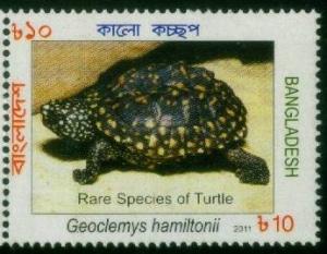 Colnect-1762-839-Black-Pond-Turtle-Geoclemys-hamiltonii.jpg