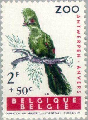 Colnect-184-530-Guinea-Turaco-Tauraco-persa-.jpg