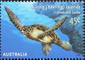 Colnect-2495-770-Hawksbill-Sea-Turtle-Eretmochelys-imbricata.jpg